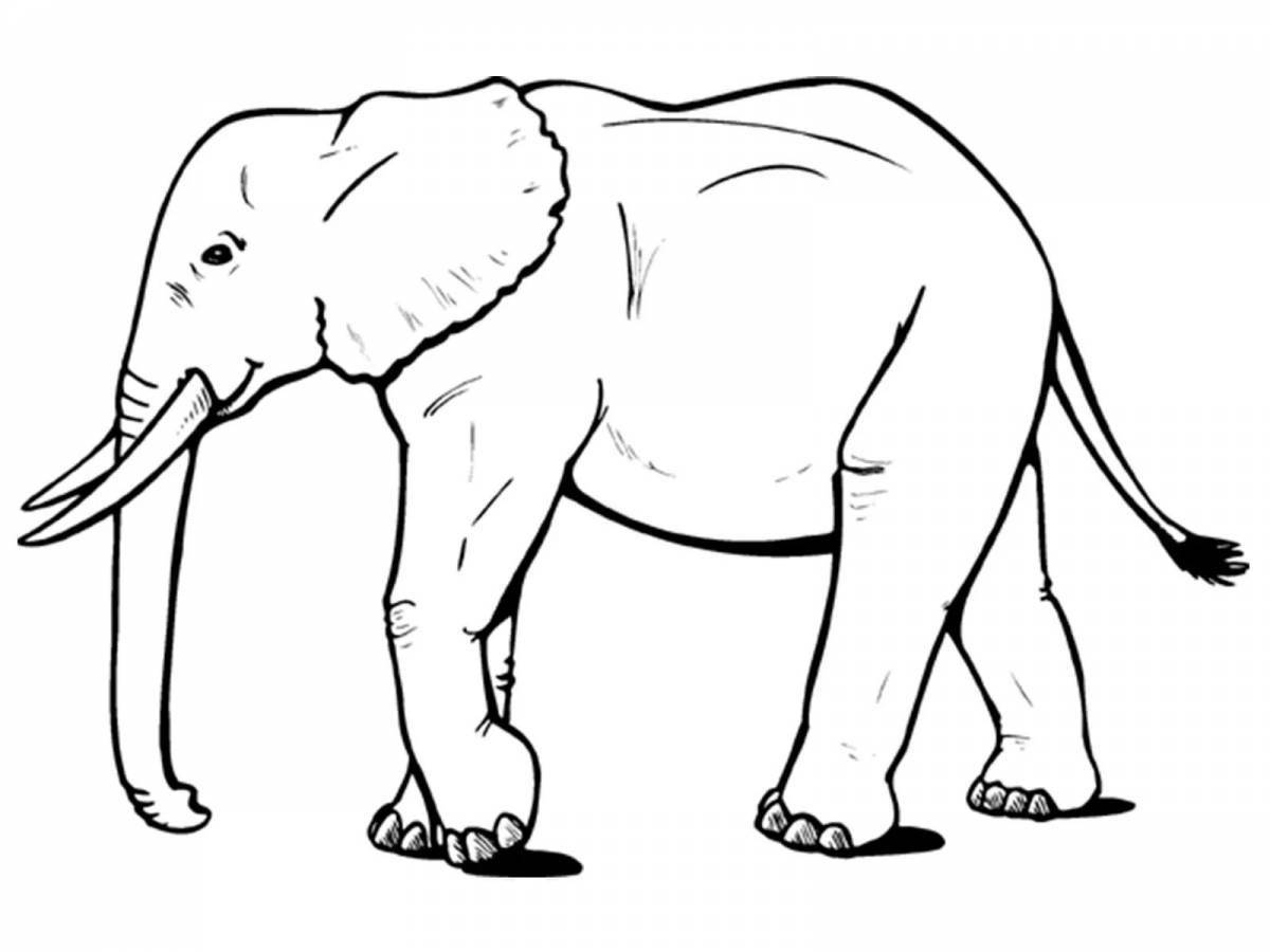 Large indian elephant coloring page