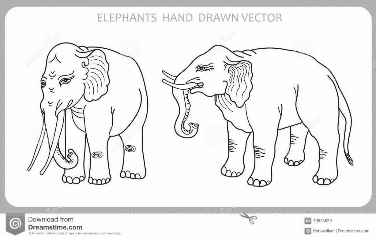 Coloring page gorgeous indian elephant