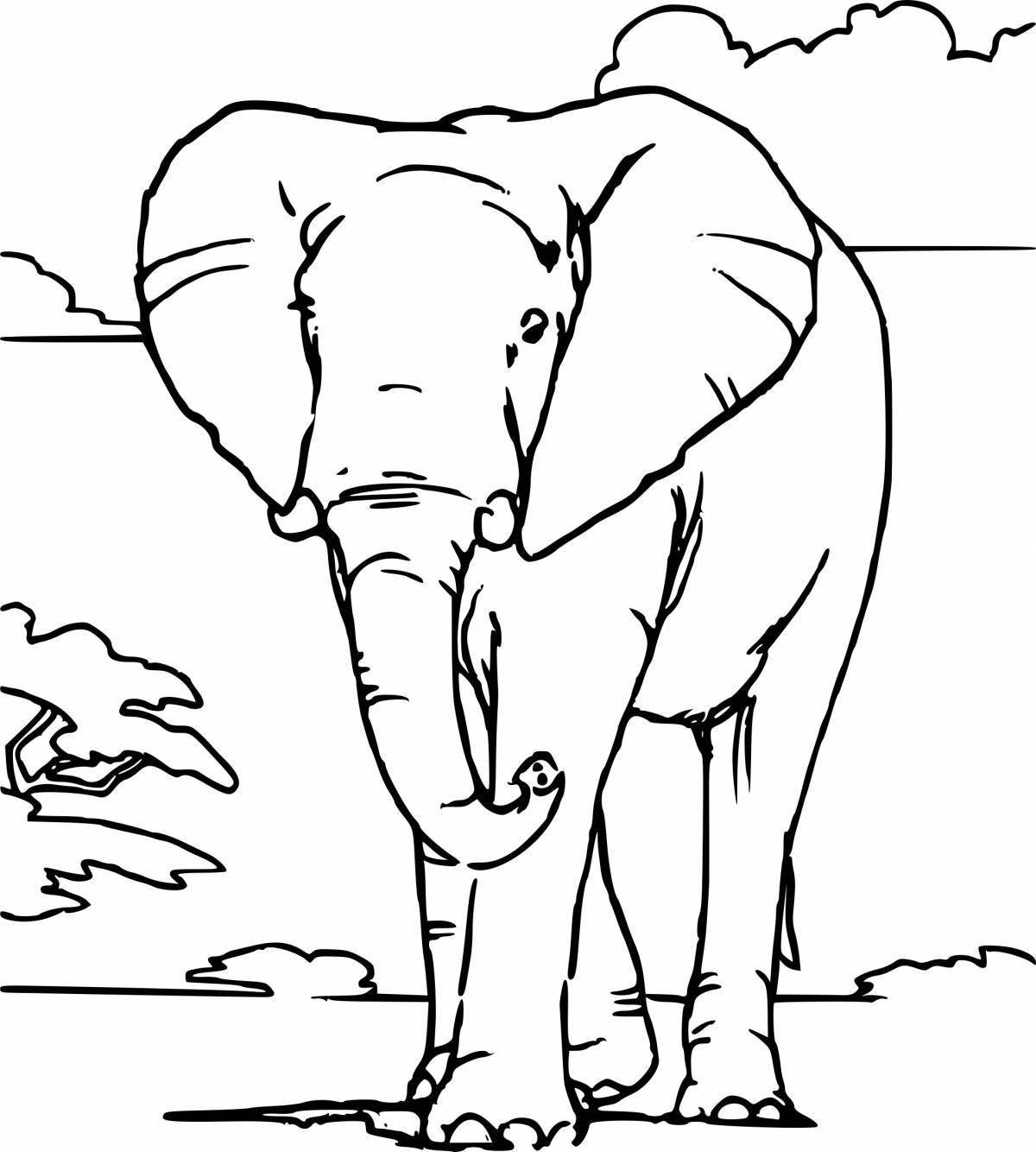Coloring book royal indian elephant