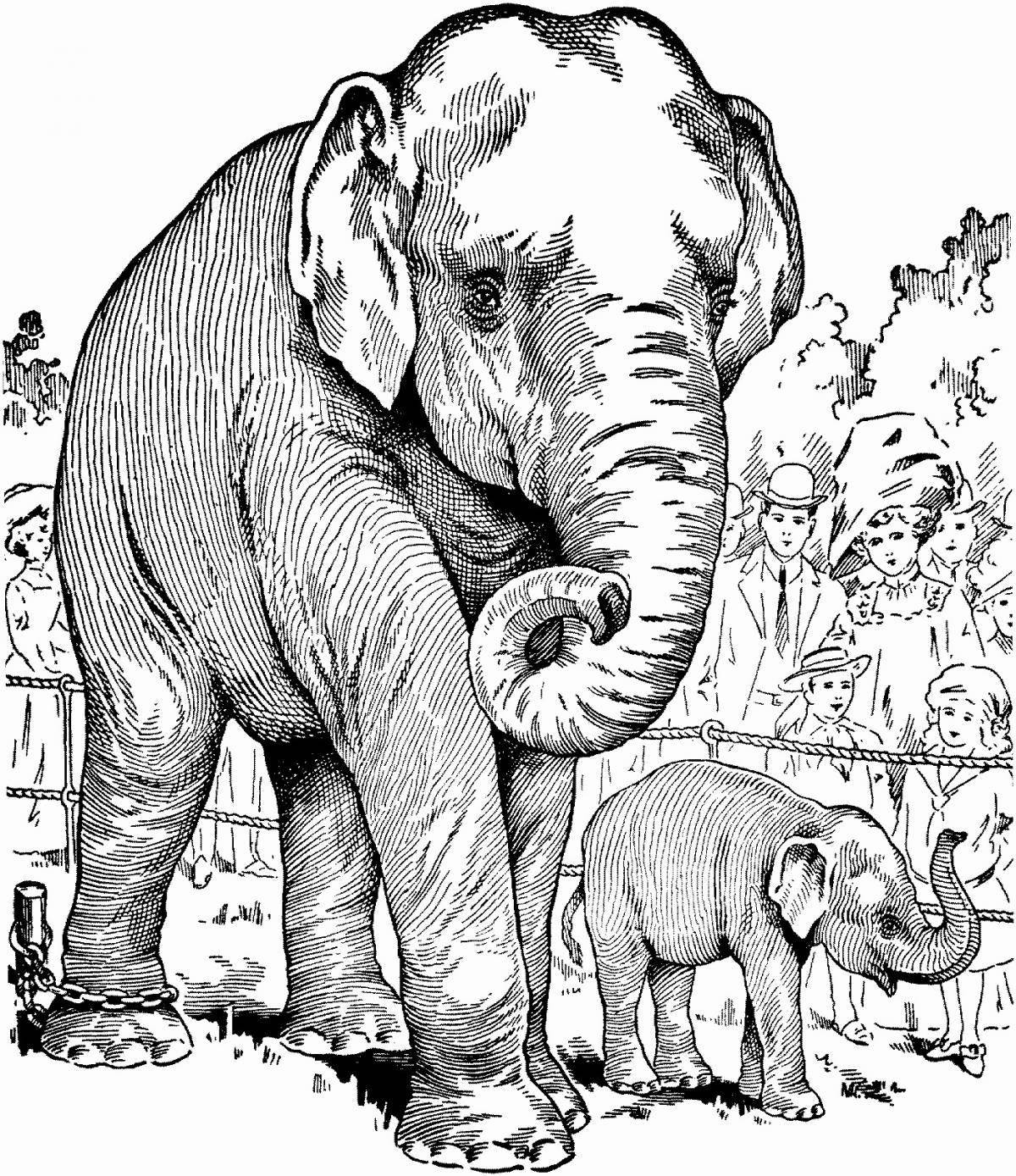 Игривая страница раскраски африканского слона