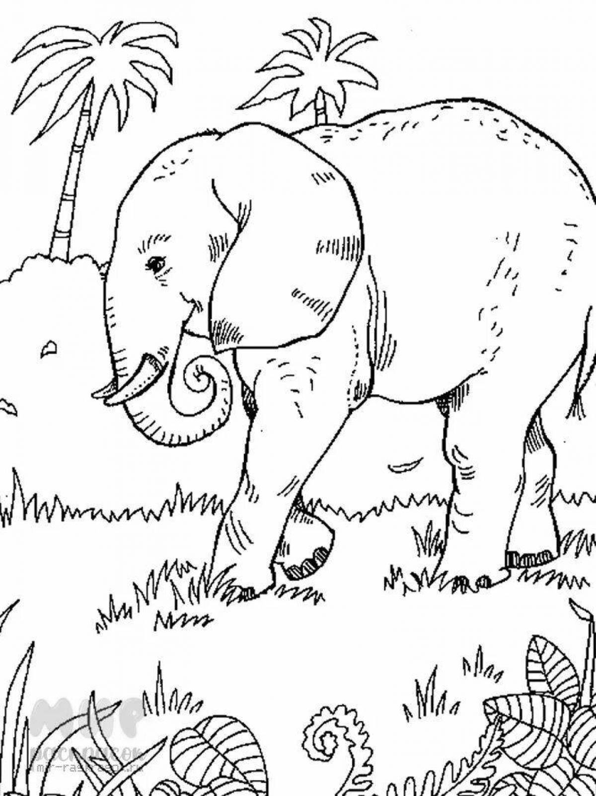 Раскраска грандиозный индийский слон