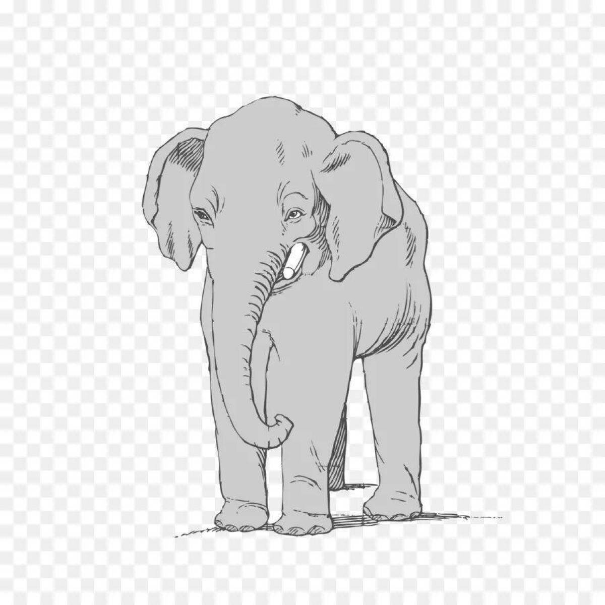 Раскраска роскошный индийский слон