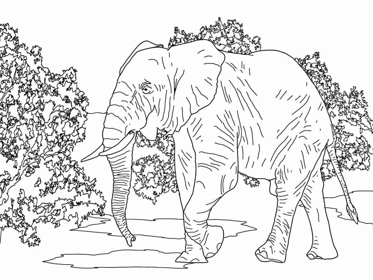 Раскраска светящийся африканский слон