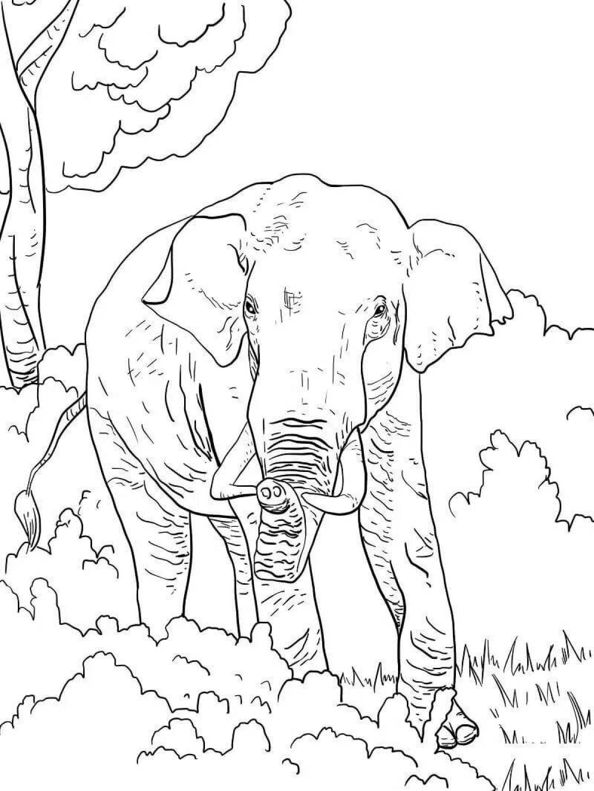 Coloring book generous Indian elephant