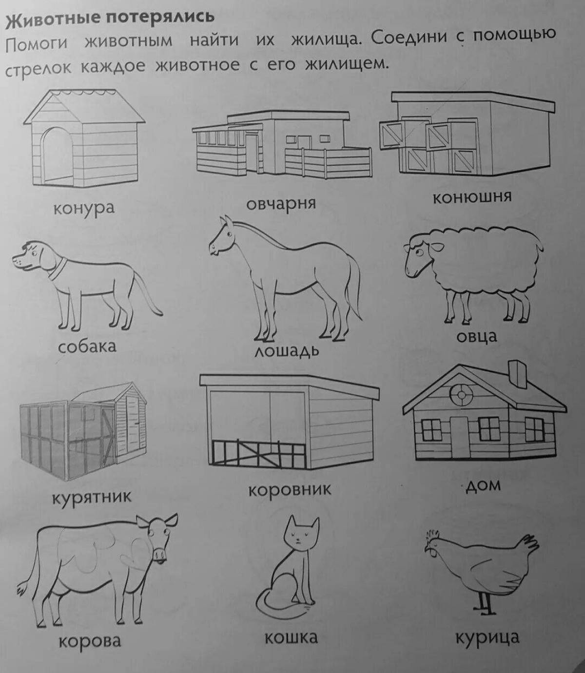 Конюшня проверочное. Жилище домашних животных. Задание где живут домашние животные. Домики для животных задания для малышей. Жилища домашних животных задания для дошкольников.