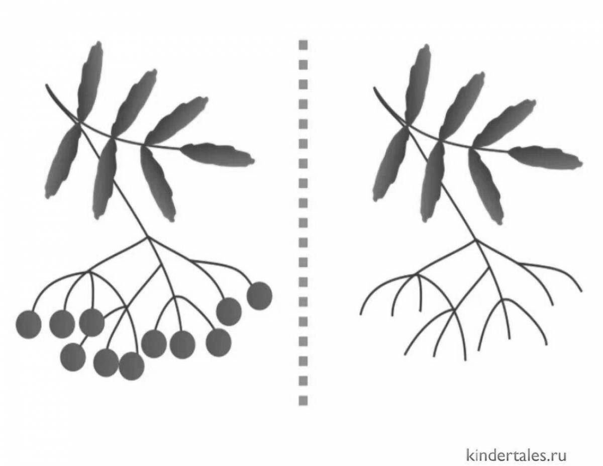 Intricate rowan branch without berries