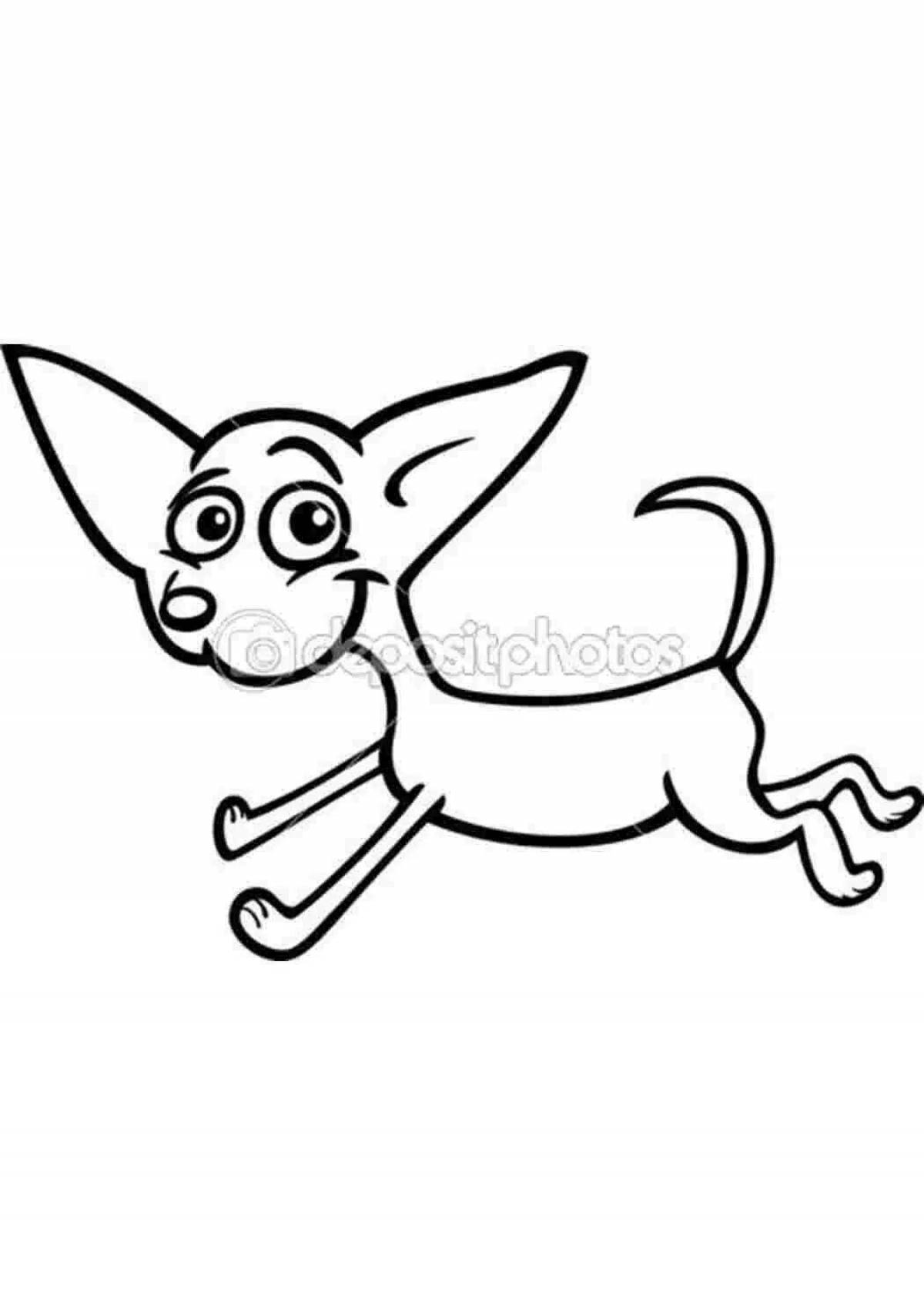 Chihuahua coloring book for kids