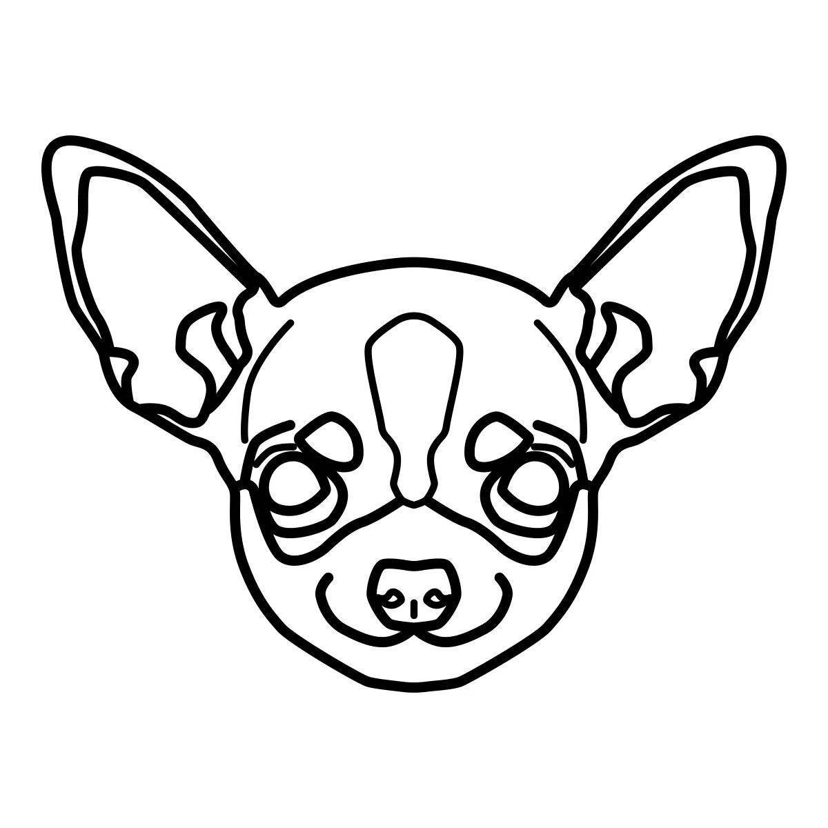 Creative chihuahua coloring book for kids
