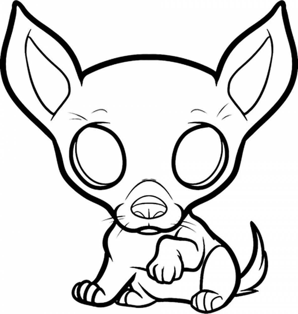 A wonderful chihuahua coloring book for kids