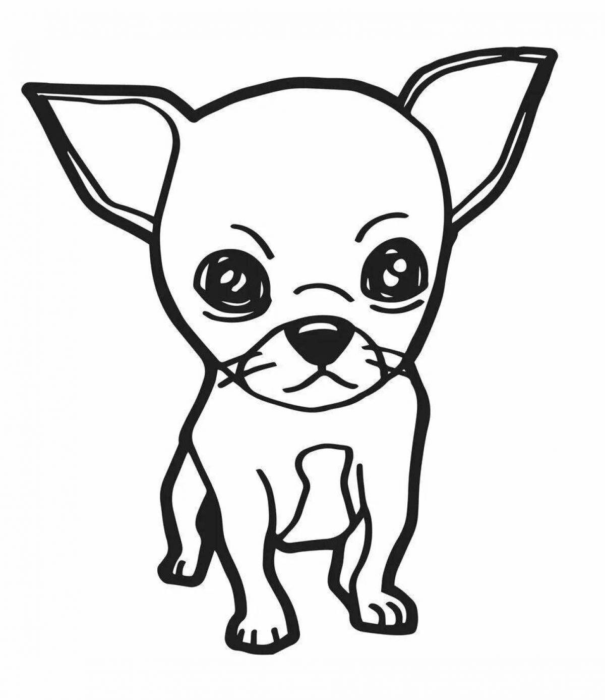Exciting chihuahua coloring book for kids