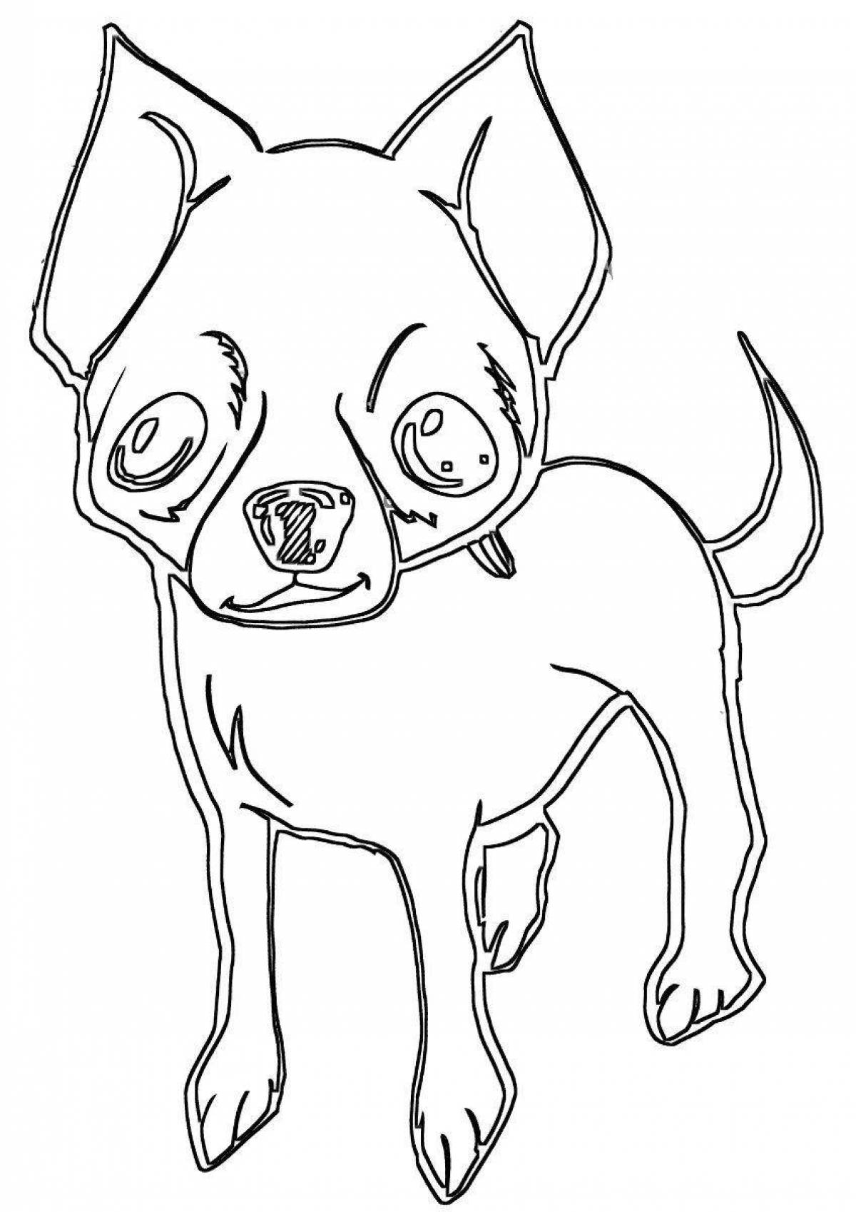 Incredible chihuahua coloring book for kids