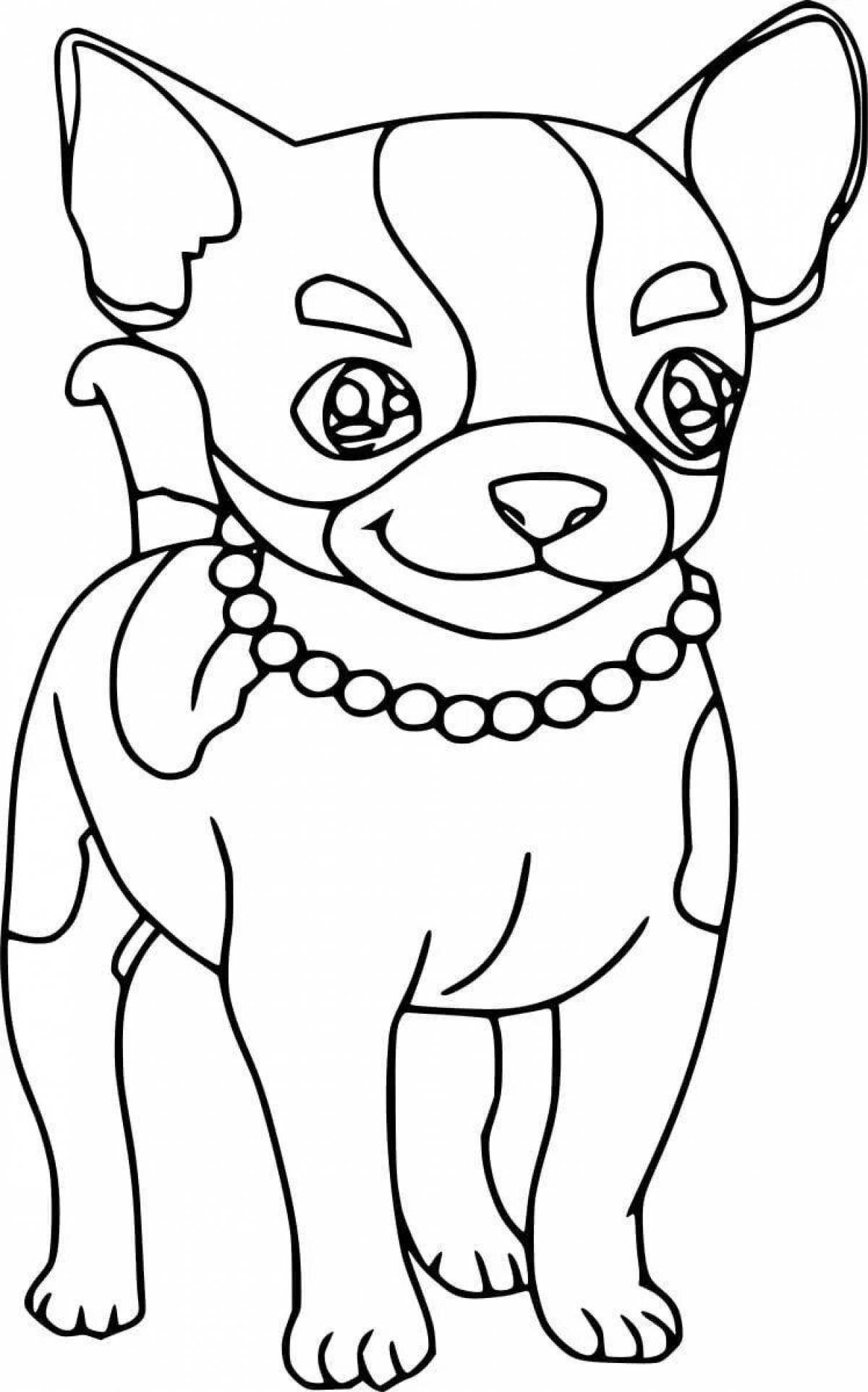 An unusual Chihuahua coloring book for kids