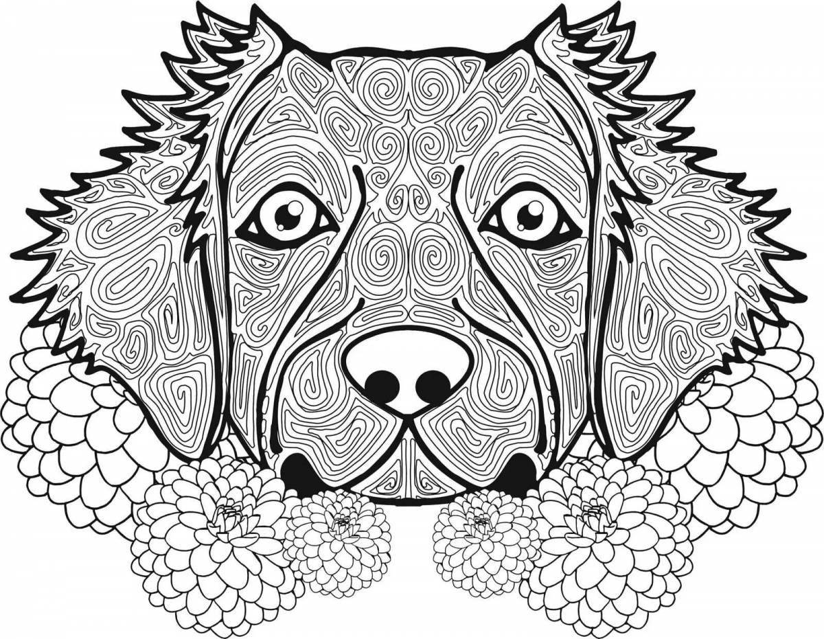 Animals playful anti-stress coloring book for girls