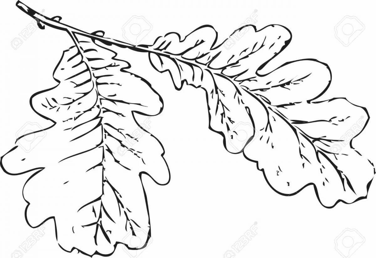 Раскраска великолепный дубовый лист