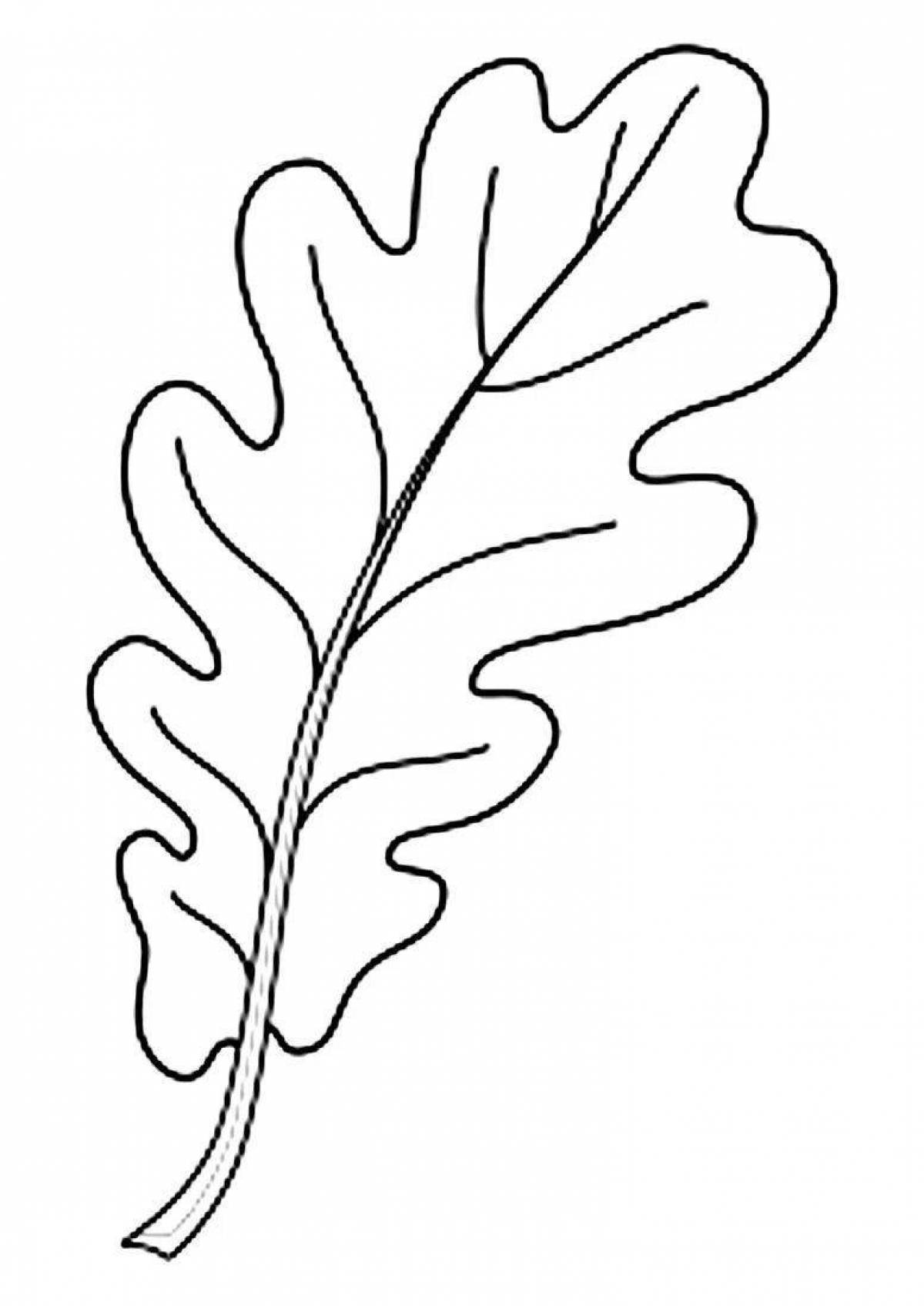 Очаровательная раскраска дубовый лист