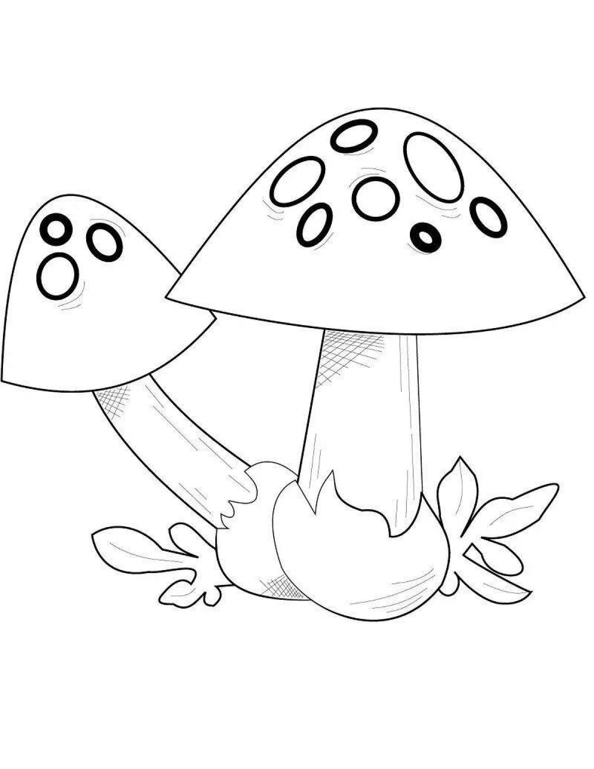 Colorful fly agaric coloring page