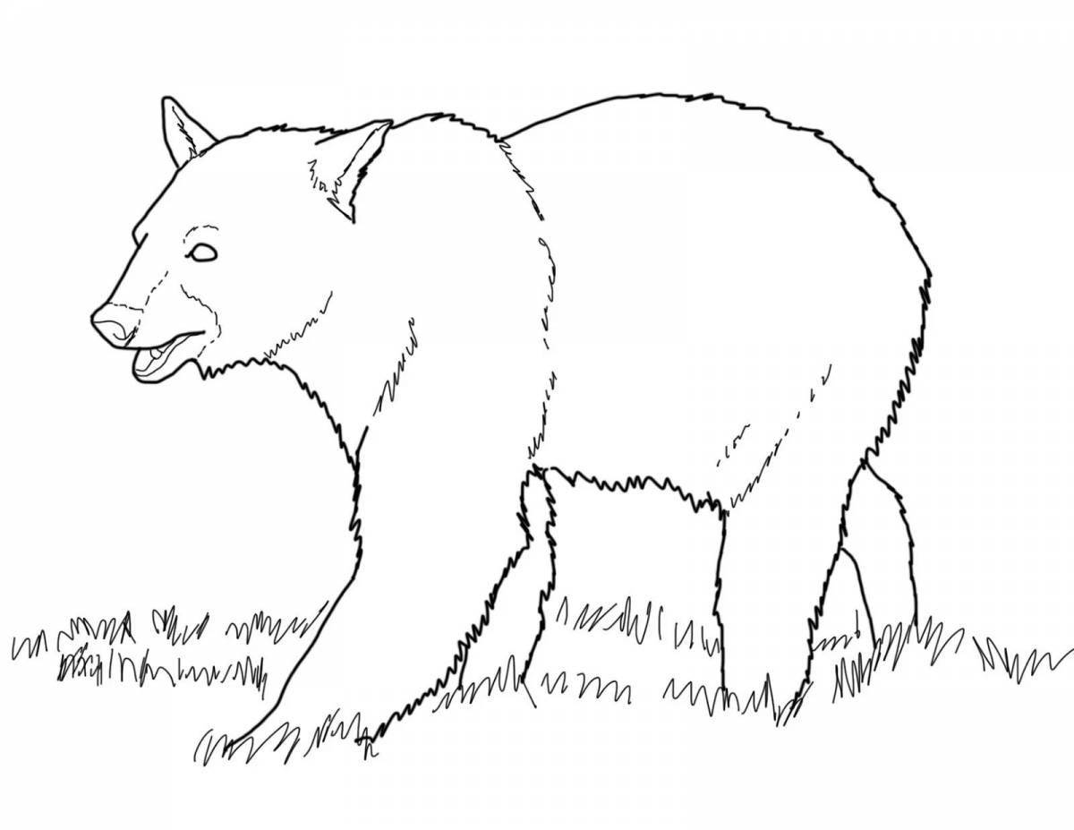 Раскраска игривый белый и бурый медведь