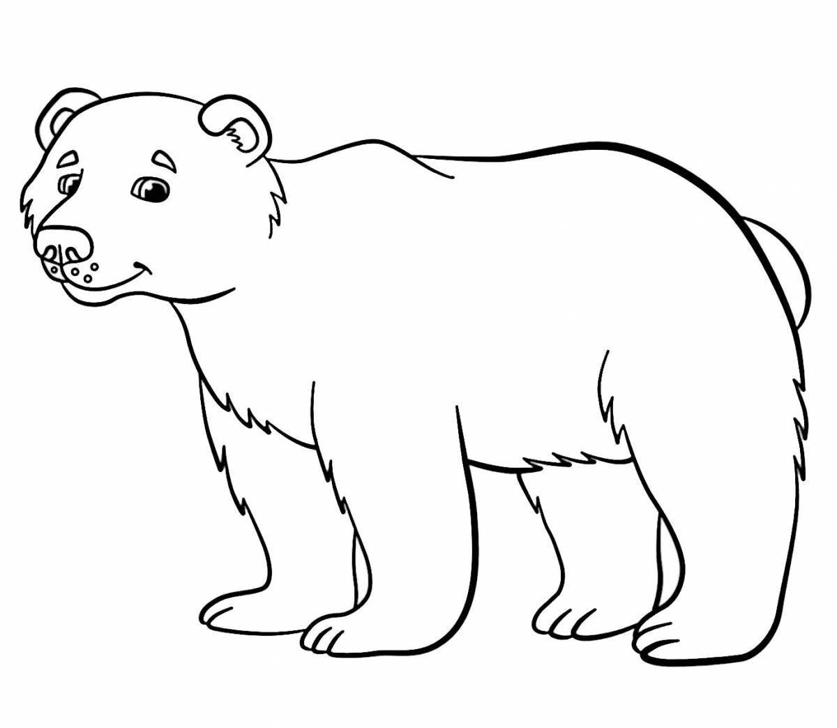 Charming white and brown bear coloring book