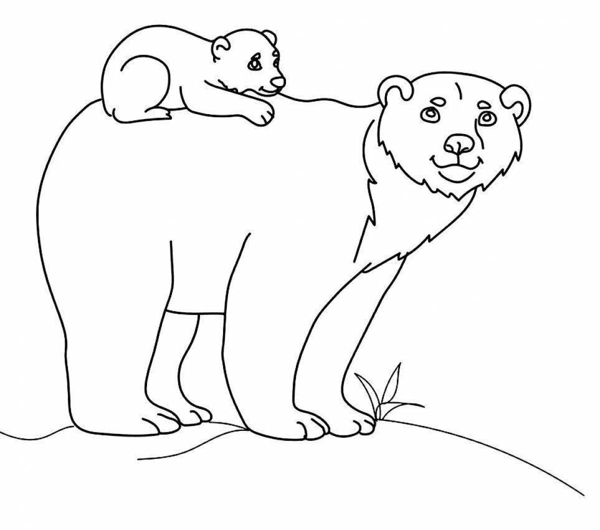 Cute white and brown bear coloring page