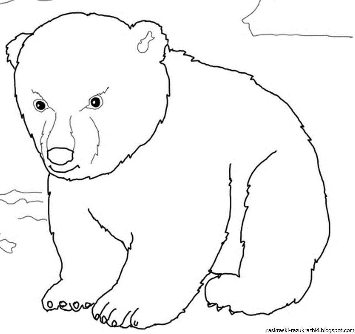 Coloring page adorable white and brown bear
