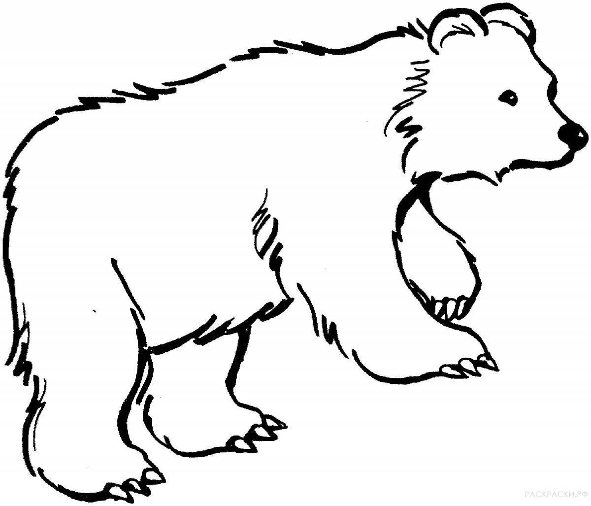 Раскраска радостный белый и бурый медведь