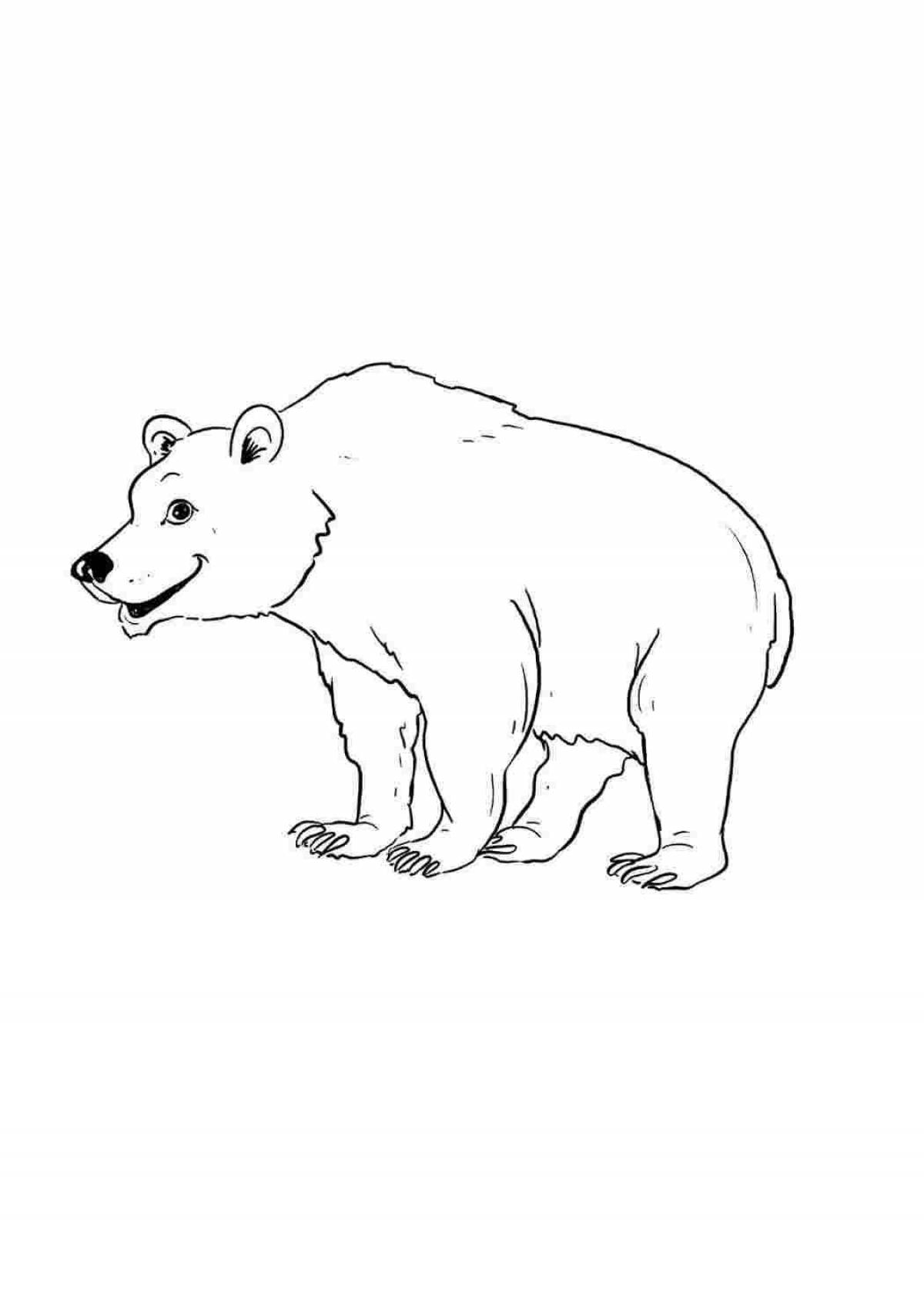 Медведь белый и бурый #5