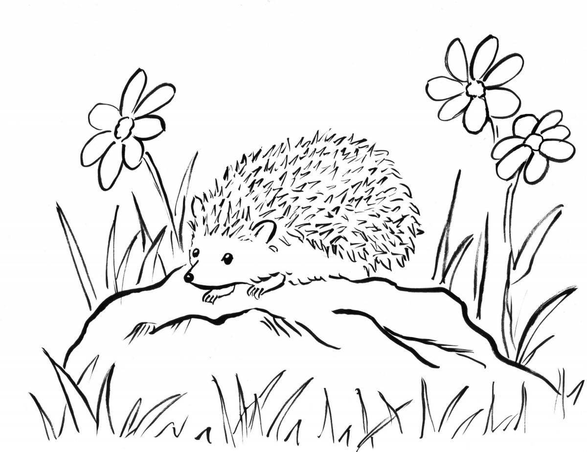 Fun drawing of a hedgehog for kids