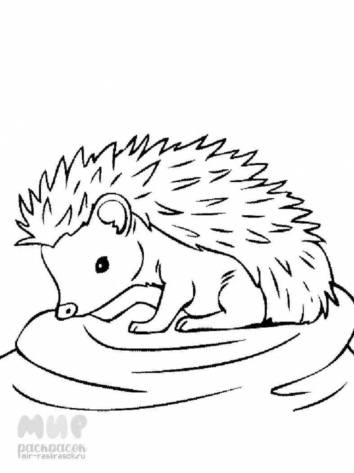 Drawing of an adorable hedgehog for children