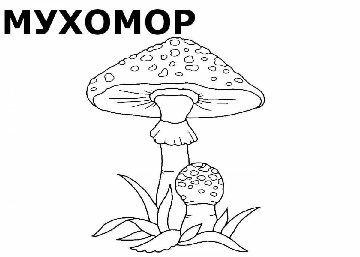 Great fly agaric drawing for schoolchildren
