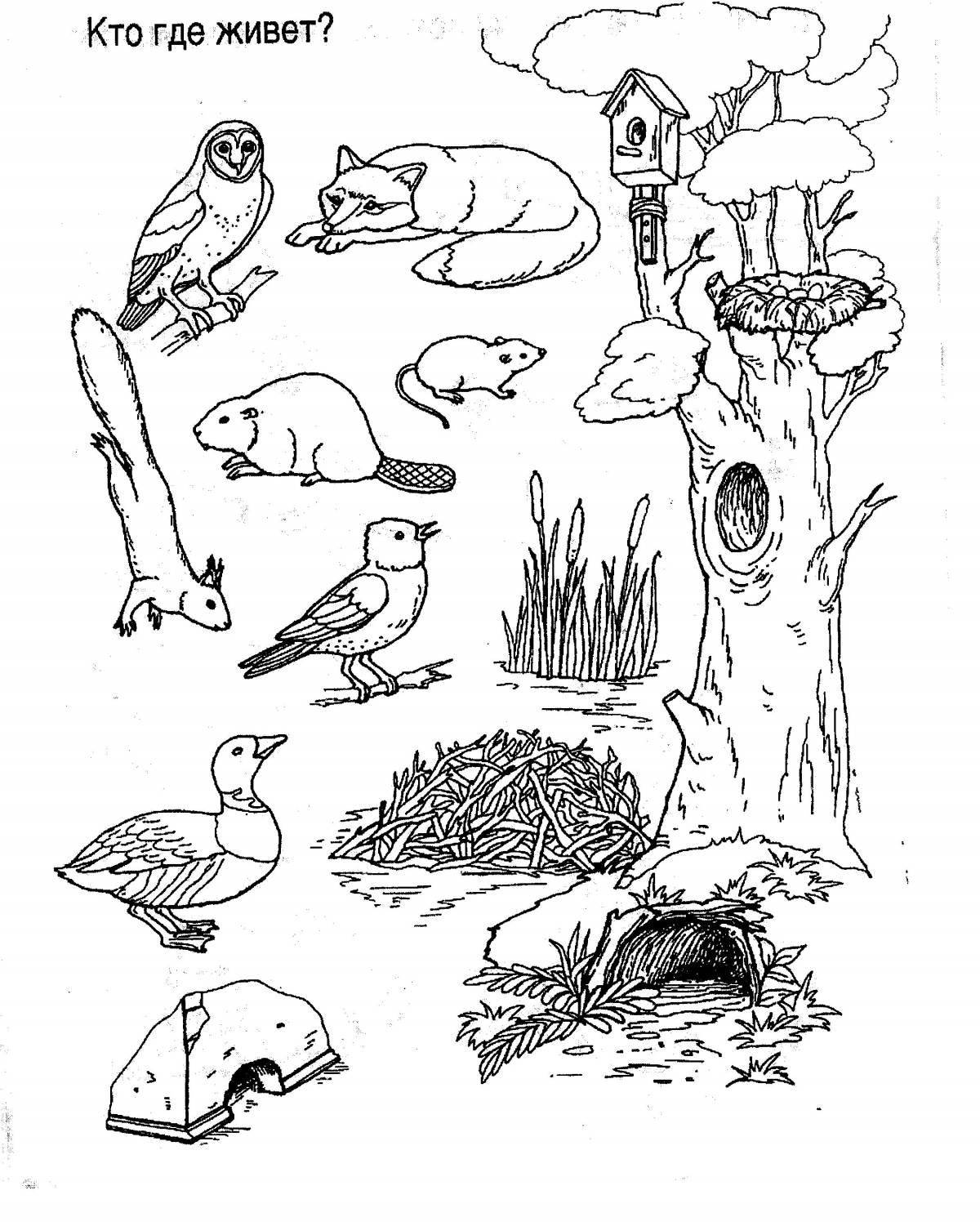 Лес дом для растений животных грибов рисунок символ