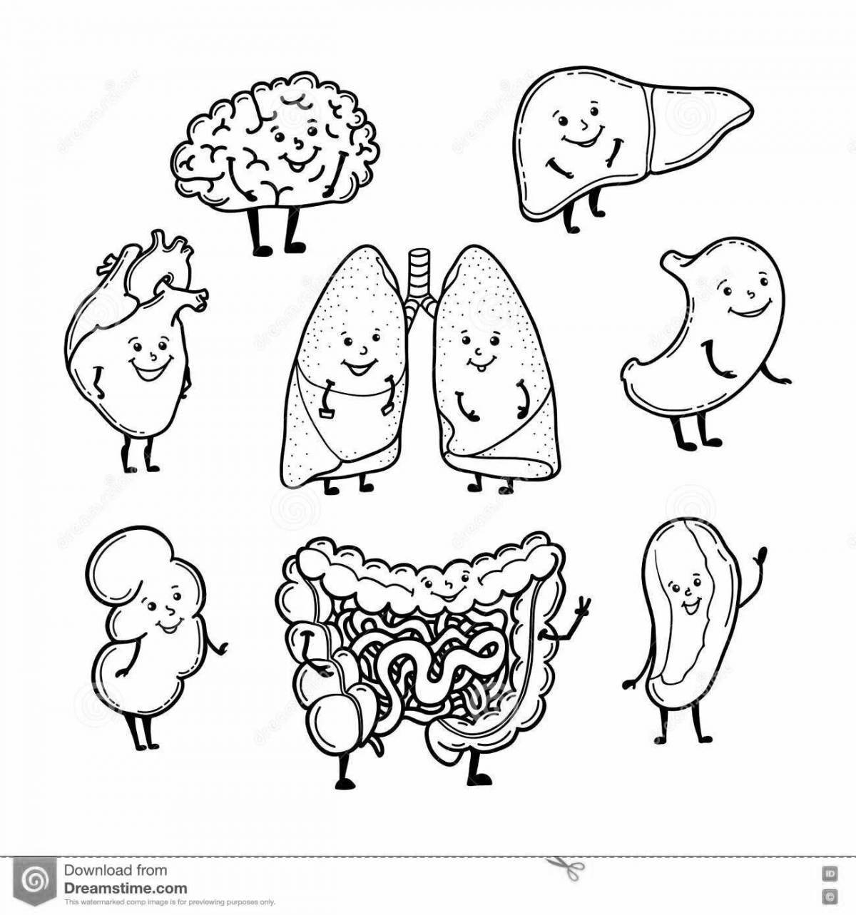 Adorable coloring book of the human body with internal organs
