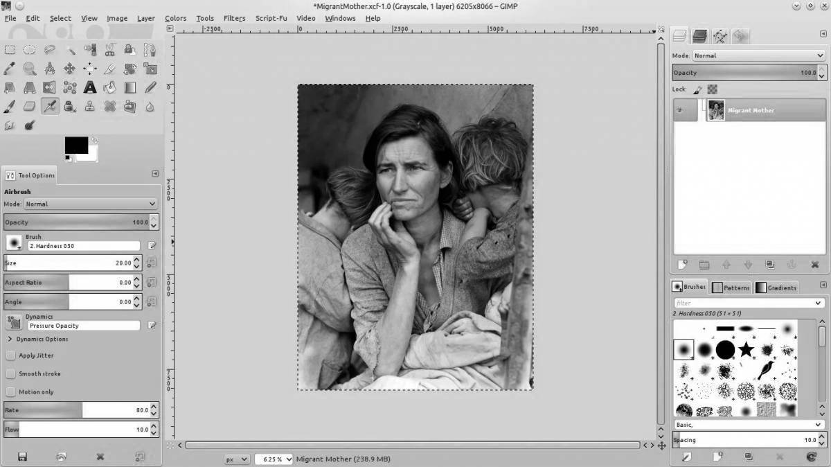 Attractive black and white photo colorization program