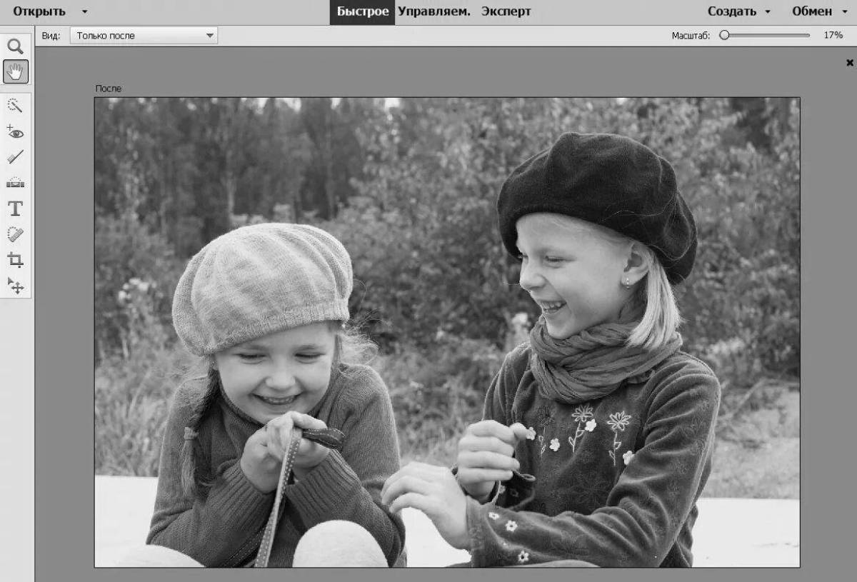 Great program for colorizing black and white photography