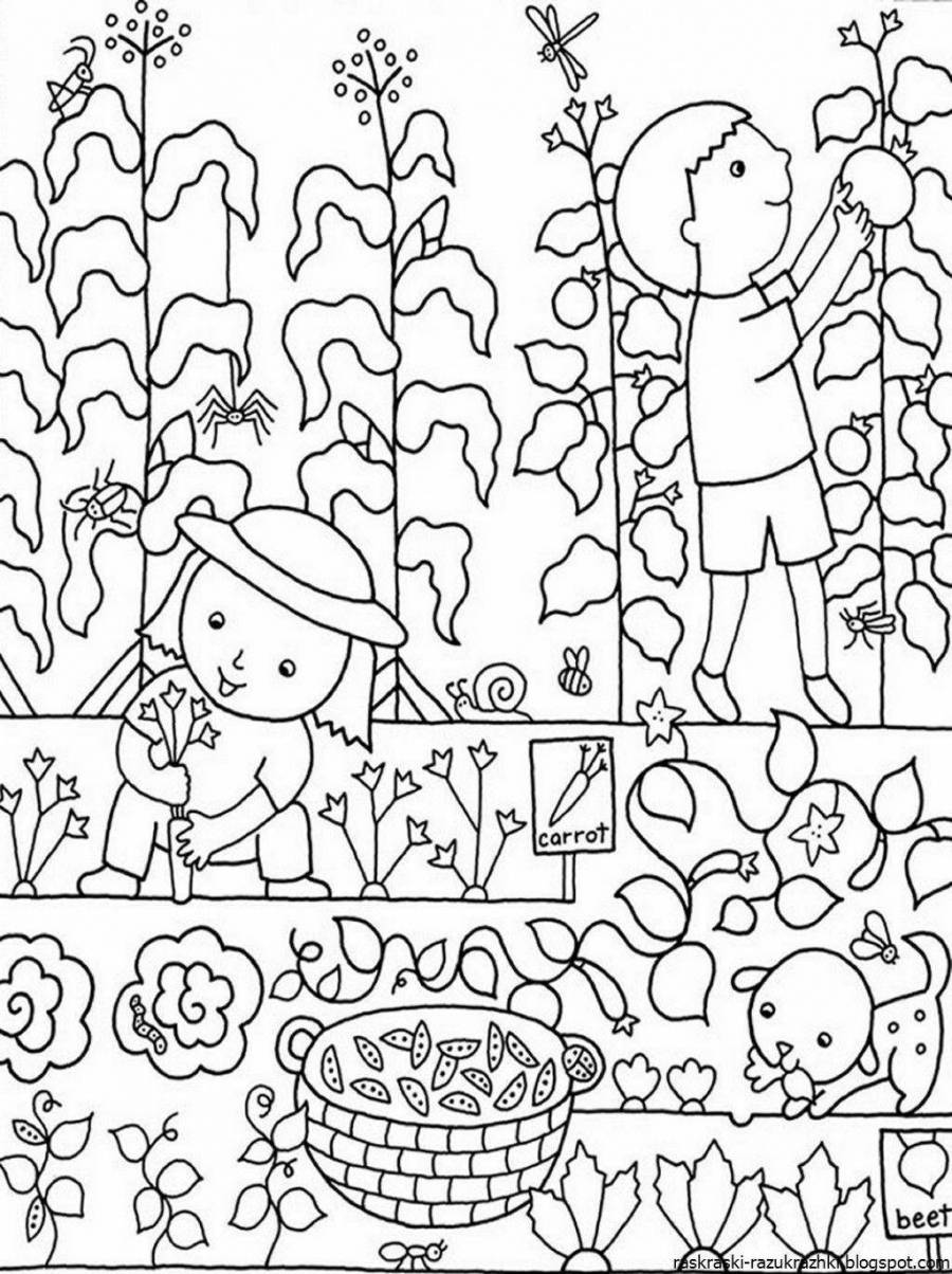 Раскраска сад и огород для детей
