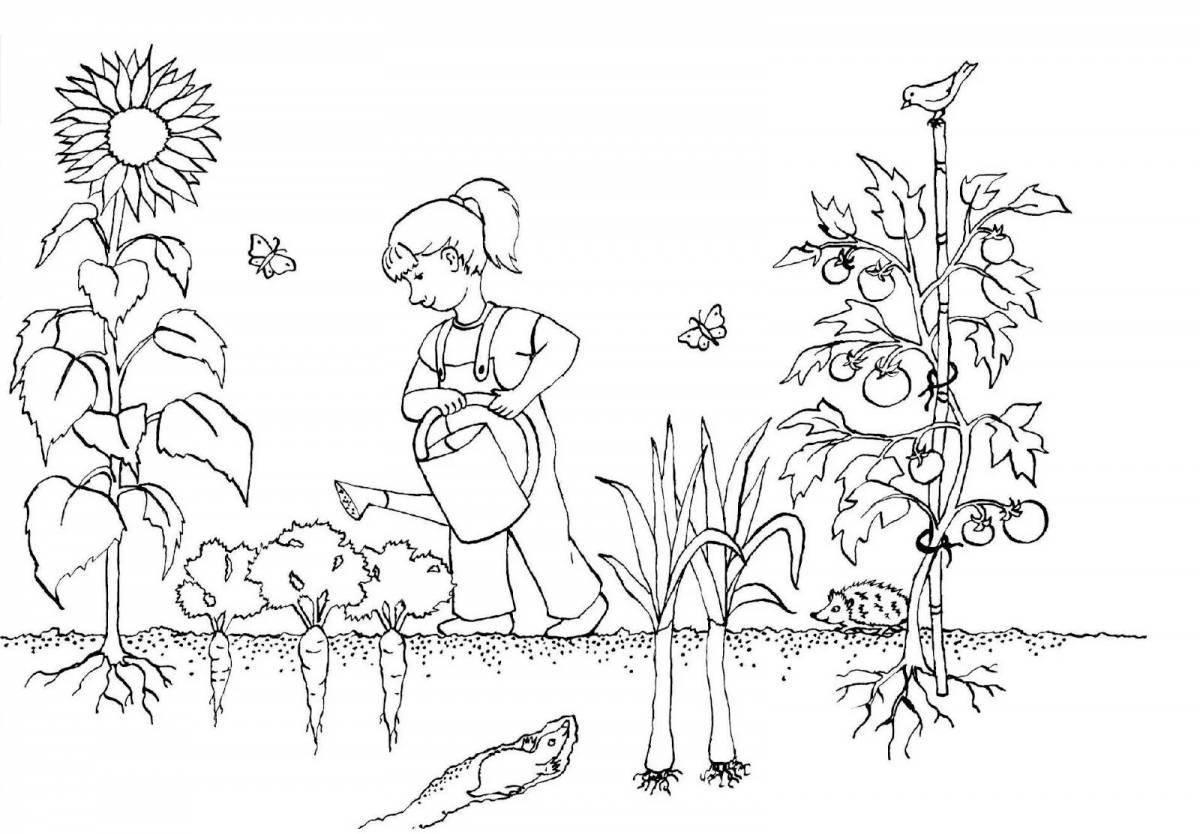 Fun garden coloring book for kids