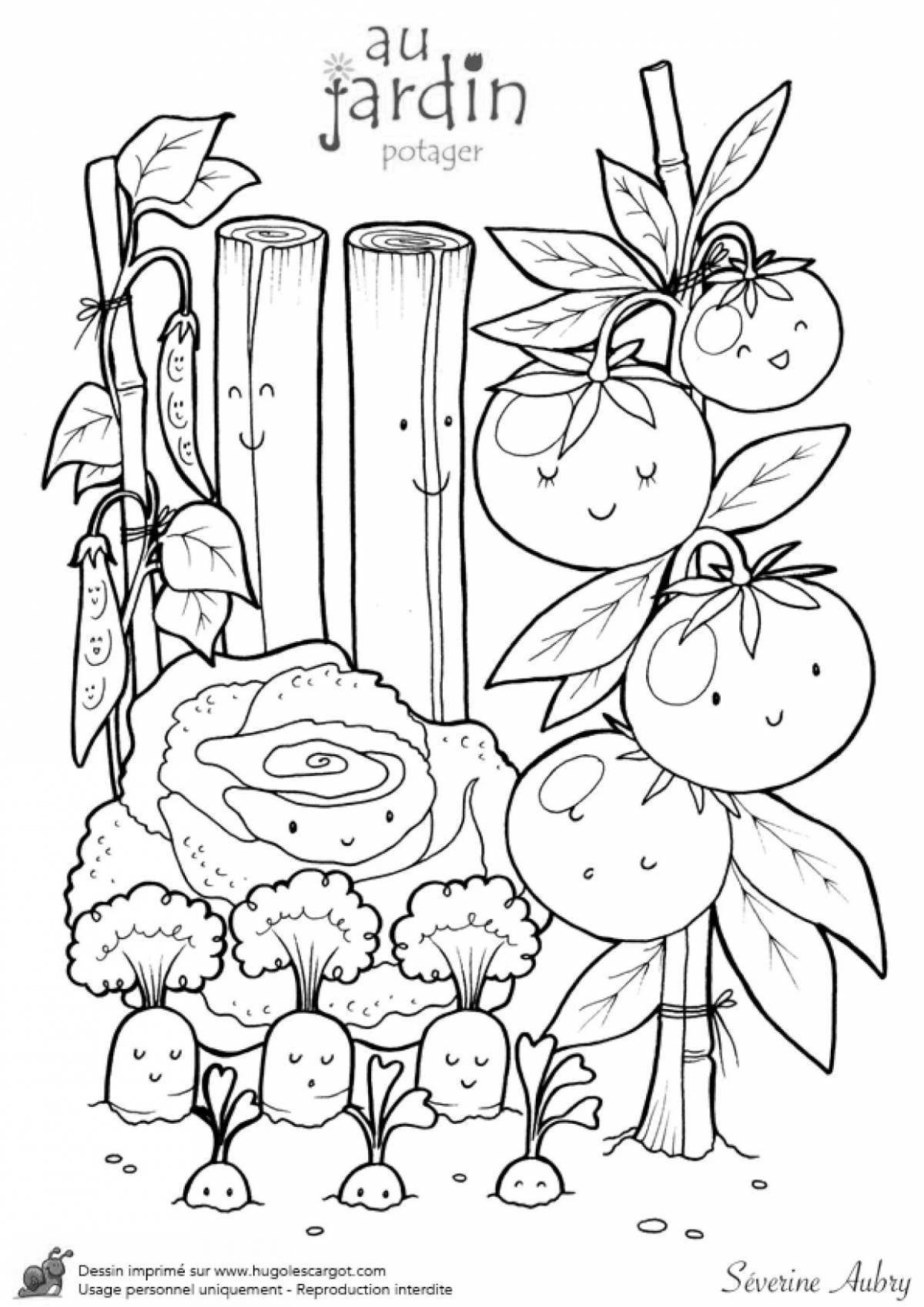 Glorious vegetable garden coloring book for children