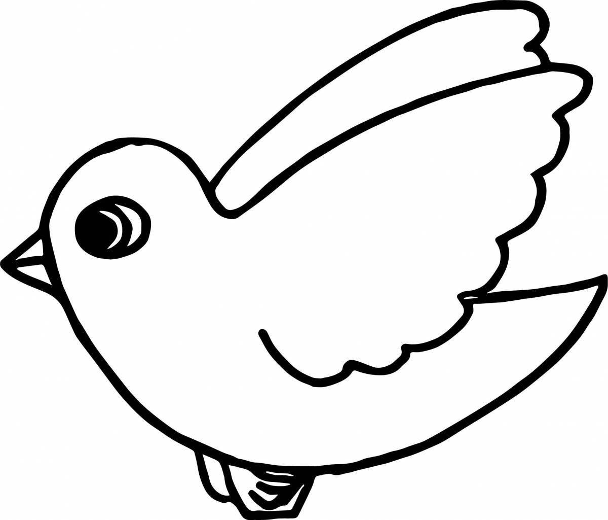 Coloring pages with funny birds for 3-4 year olds
