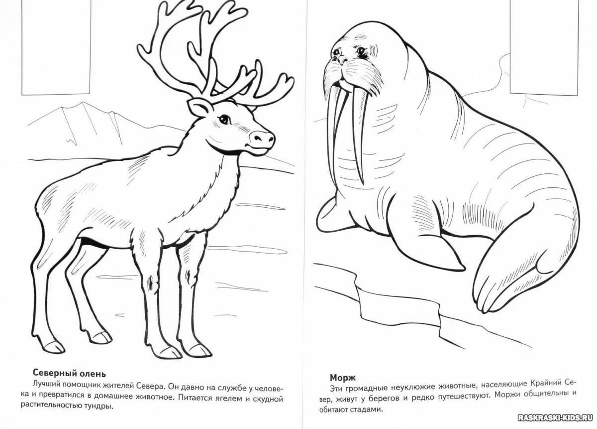 Delightful animals of the cold country for children