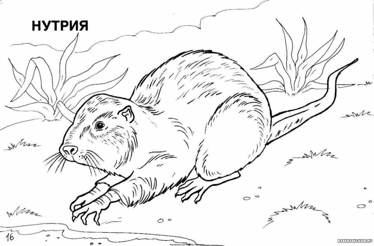 Terrific red book plants and animals coloring page