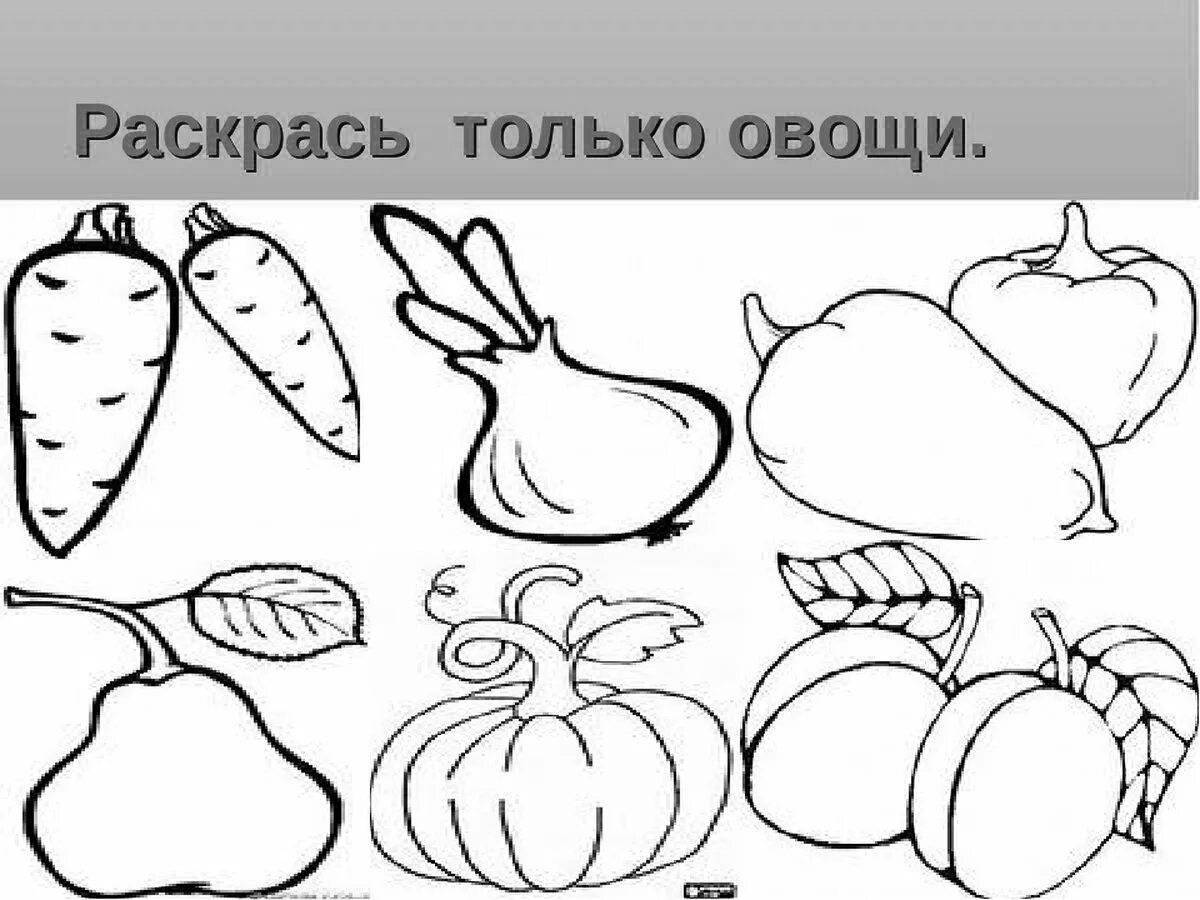 Amazingly beautiful fruits and vegetables coloring book