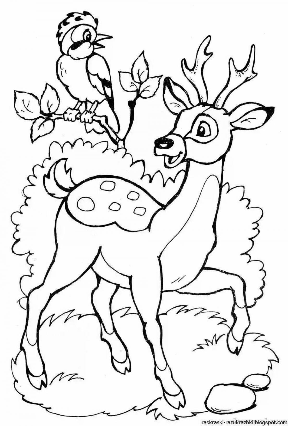 Fun coloring pages animals for 7 year olds