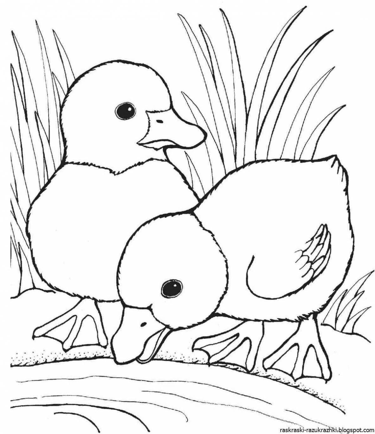 Outstanding animal coloring pages for 7 year olds