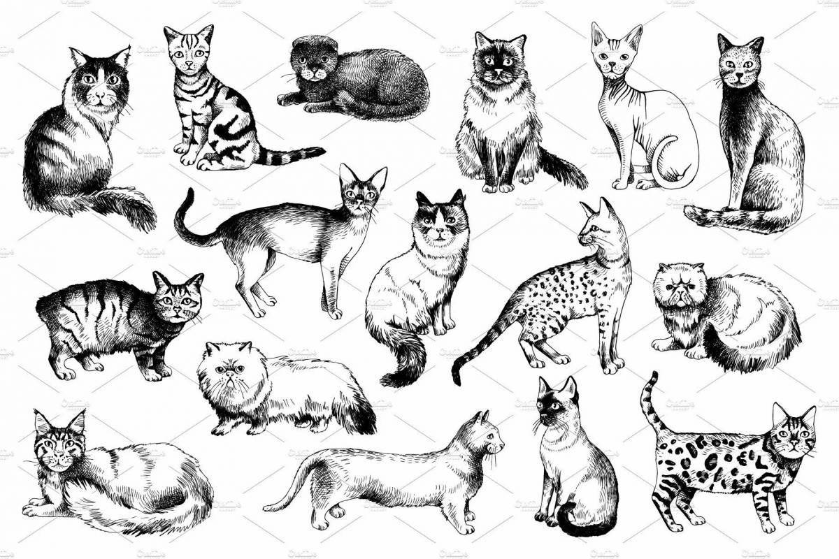 Раскраска много кошек с разноцветными брызгами