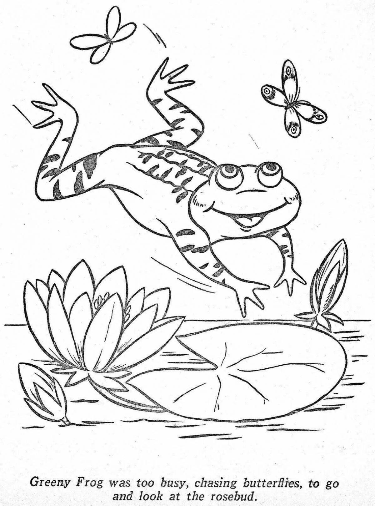 Coloring page nice frog traveler