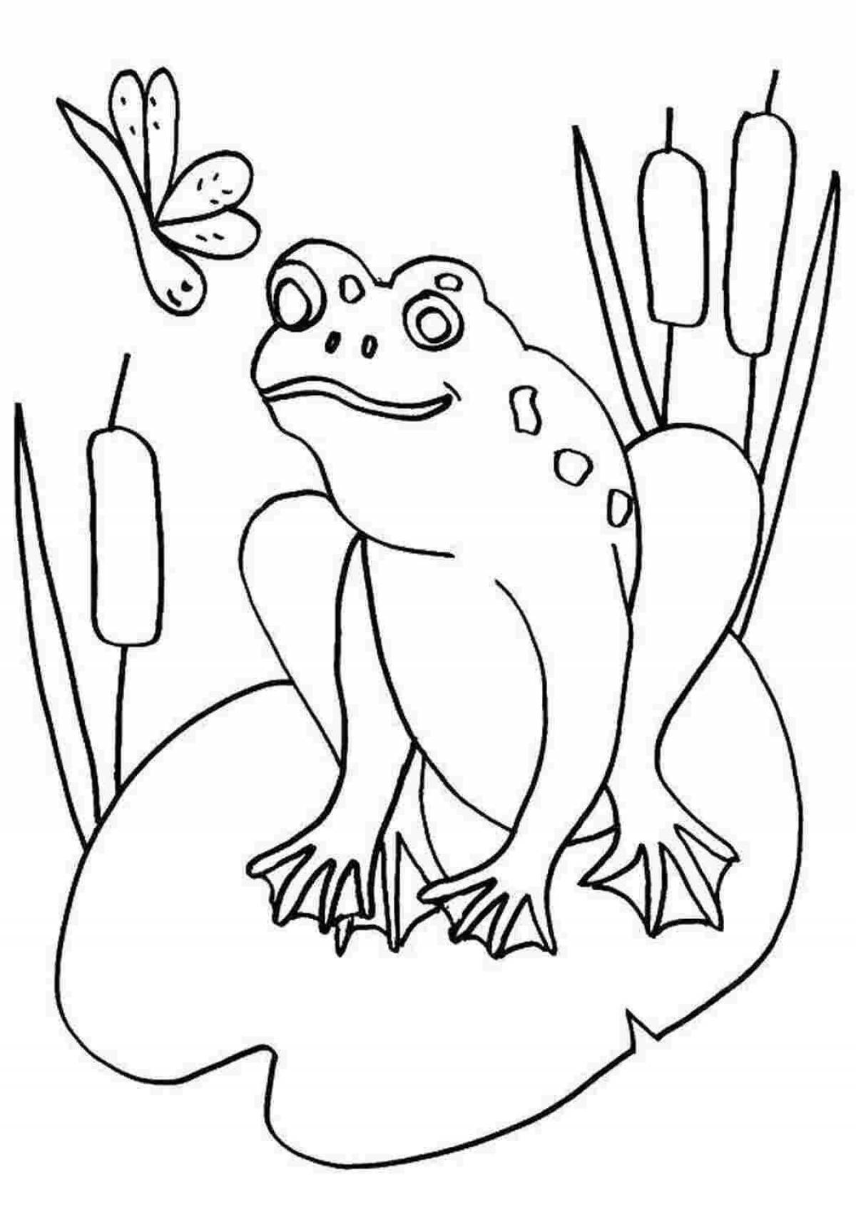 Coloring book funny traveler frog