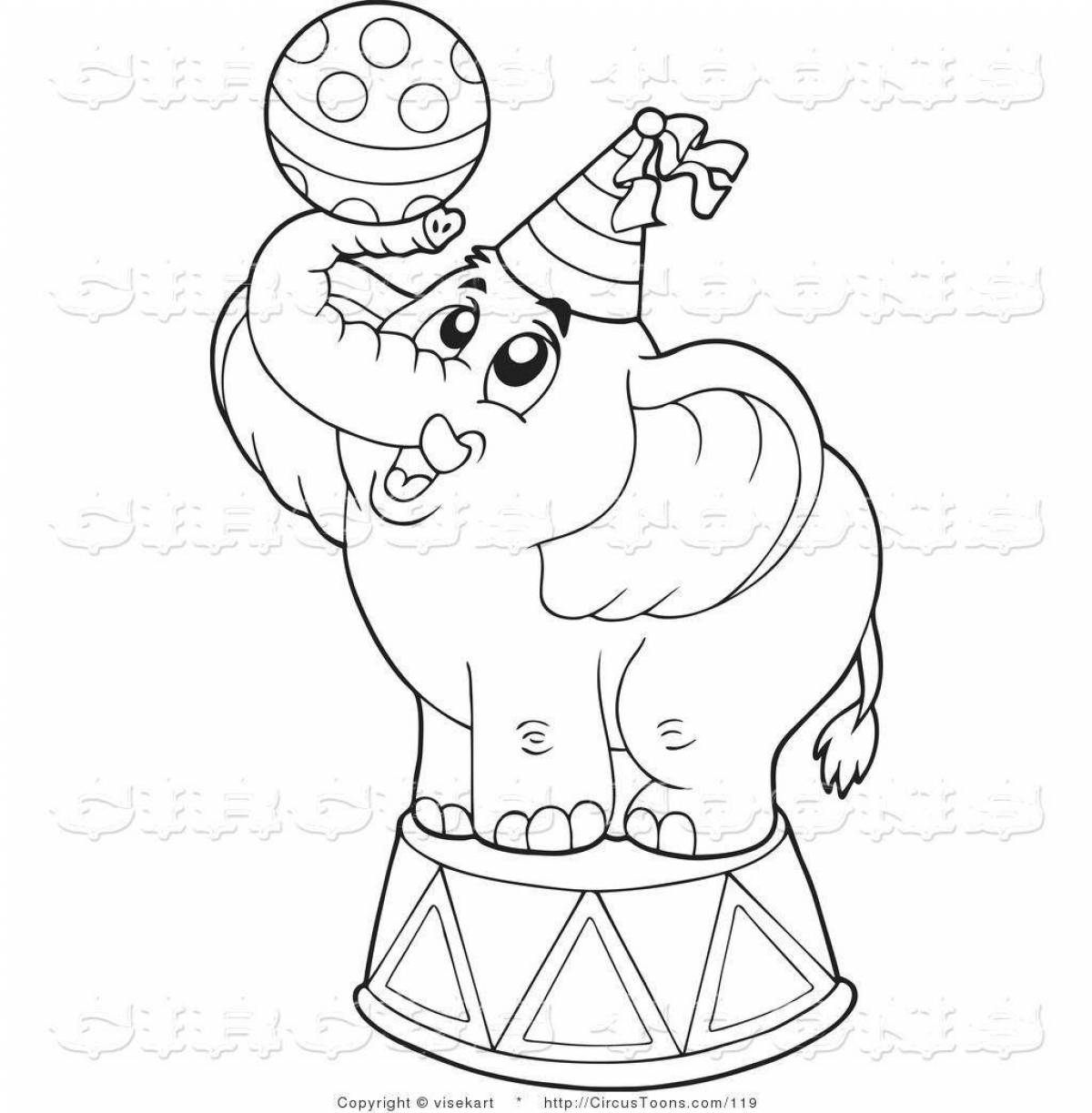 Слон с клоуном в цирке раскраска
