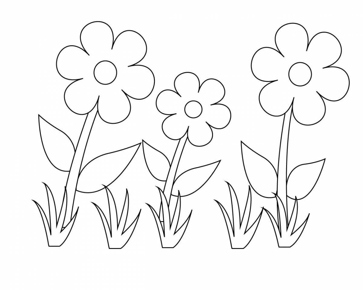 Great flowers coloring book for 4-5 year olds