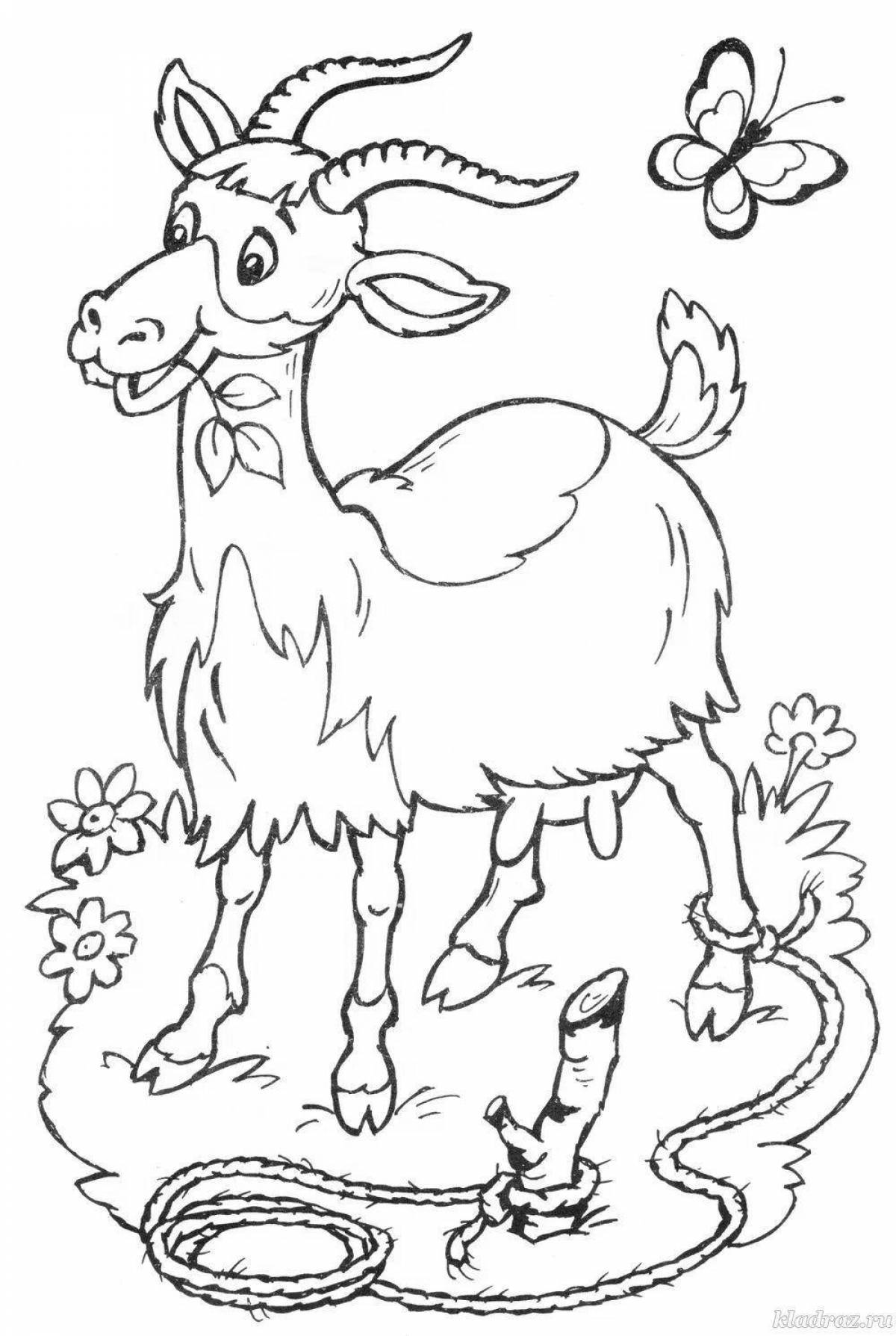 Live goat coloring book for children 5-6 years old