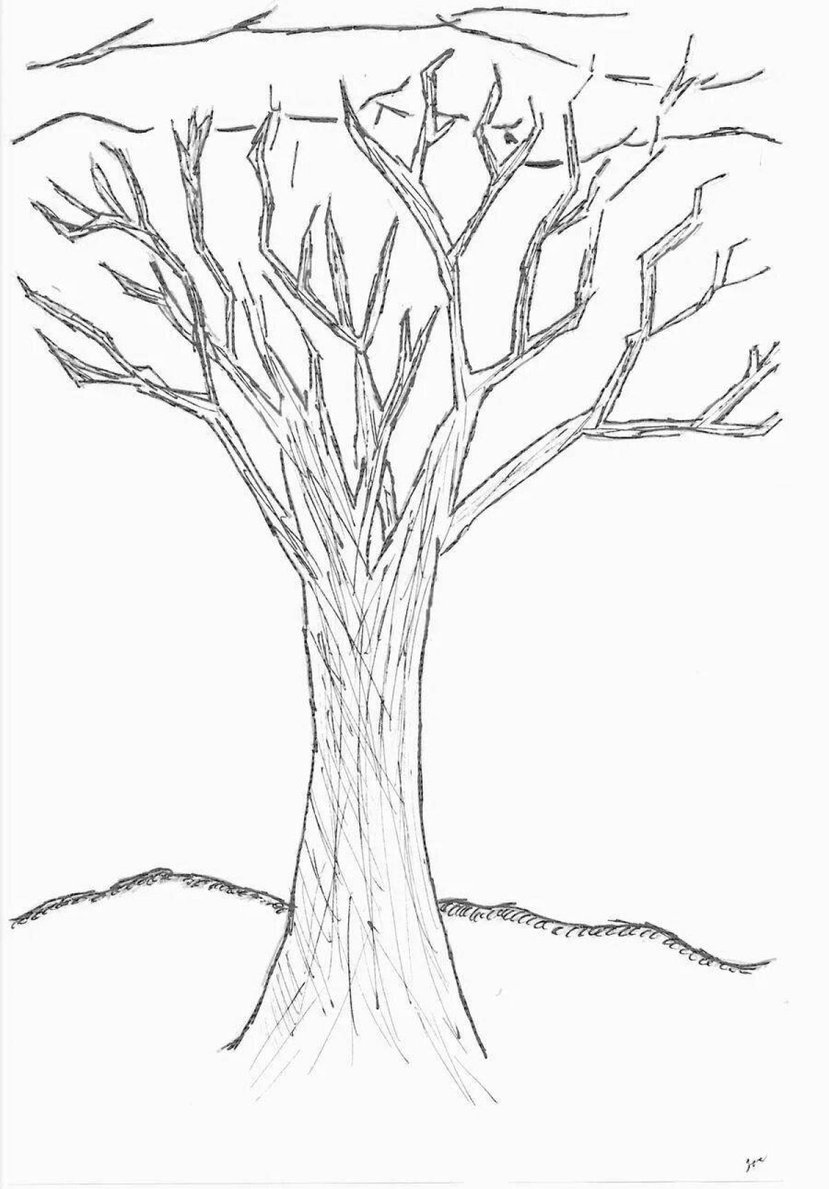 Очаровательная страница раскраски раскидистого дерева