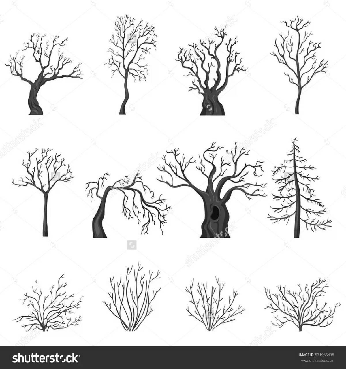 Amazing tree coloring page